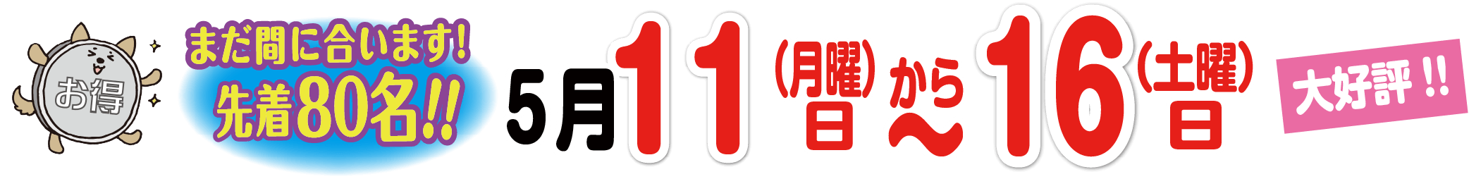 WEB限定！特別キャンペーン